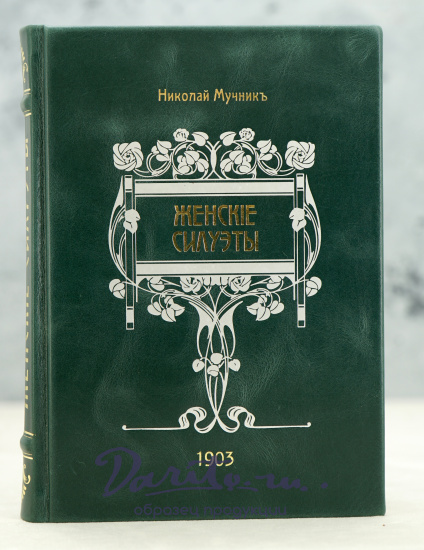 Женские силуэты. Очерки и рассказы Н.Мучник_Антикварная книга 1906 г.