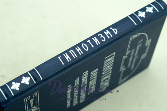 Новый курсъ гипнотизма. «Наша сила внутри нас»