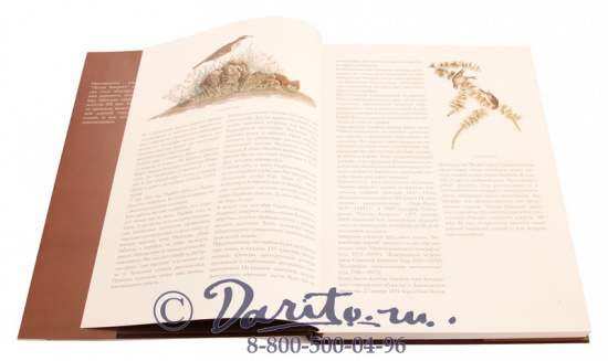 Книга «Птицы Америки»