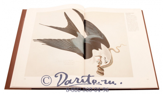 Книга «Птицы Америки»