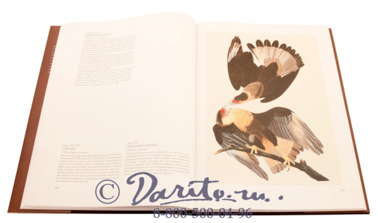 Книга «Птицы Америки»