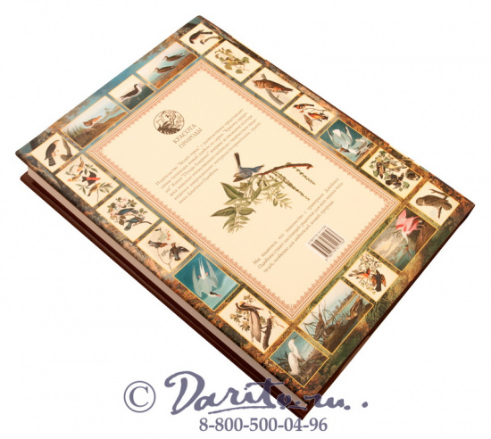 Книга «Птицы Америки»