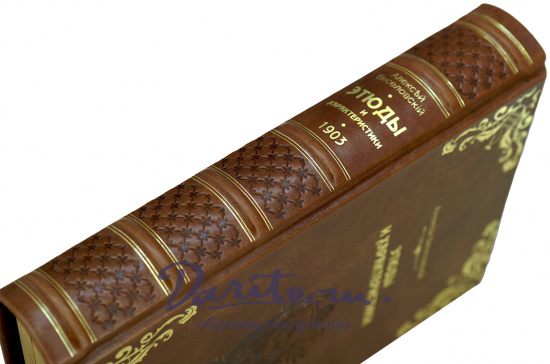 Этюды и характеристики А.Веселовский Антикварная книга 1903г