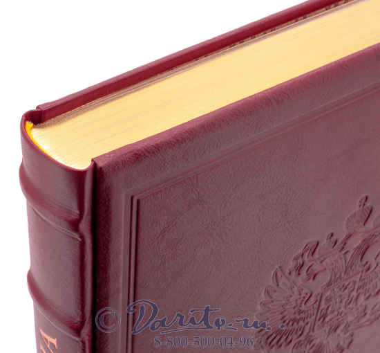 Книга «The Wealth of Russia/Богатства России»