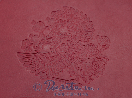 Книга «The Wealth of Russia/Богатства России»