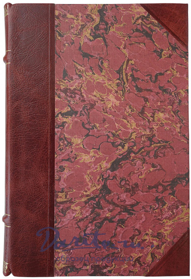 Рюмин В.В. Занимательная химия (Издание 1929г.)