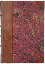 Два героя в новом свете: Завоевание Мексики (Антикварная книга 1903г.)