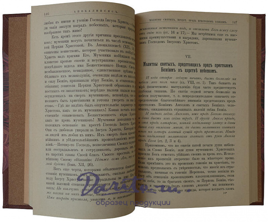 Яковлев Ф.И. Апокалипсис: с очерком жизни и учения св. апостола и евангелиста Иоанна Богослова (Антикварная книга 1905г.)