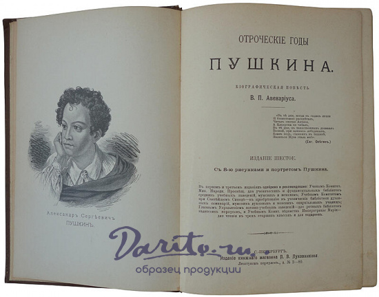Авенариус В.П. Отроческие годы Пушкина (Антикварная книга 1909г.)