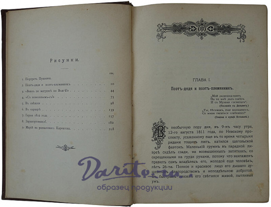 Авенариус В.П. Отроческие годы Пушкина (Антикварная книга 1909г.)