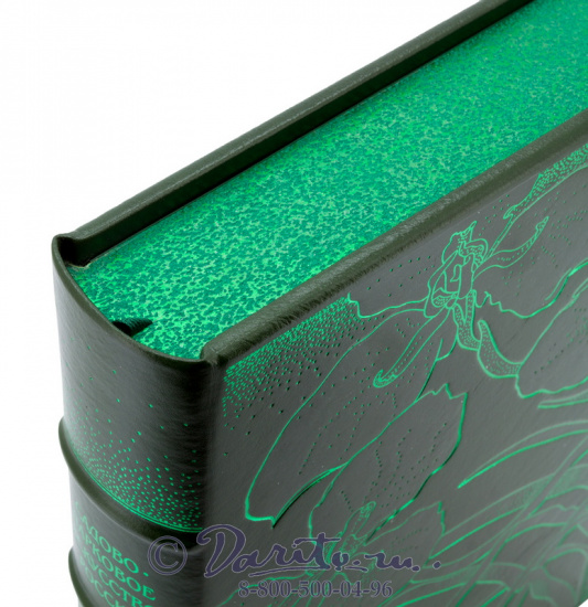 Книга «Садово-парковое искусство России: от истоков до начала ХХ века»