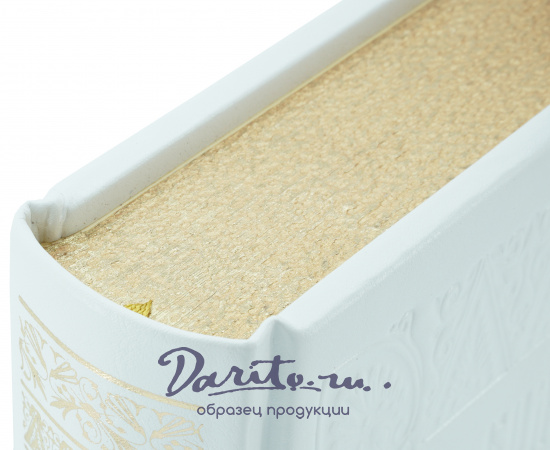 Забелин И. Е., Подарочная книга «История города Москвы»