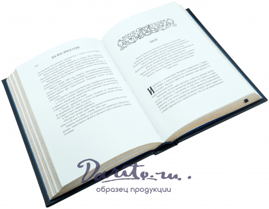 Книга в подарок «История Наполеона»