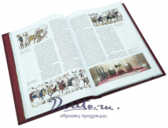 Книга «Оружие»