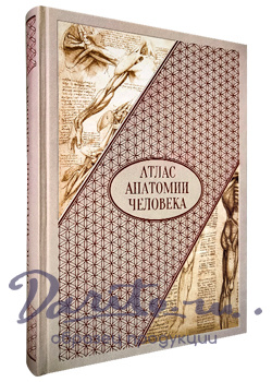 Подарочная книга «Атлас анатомии человека. Все органы человеческого тела»