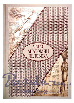 Подарочная книга «Атлас анатомии человека. Все органы человеческого тела»