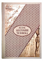 Подарочная книга «Атлас анатомии человека. Все органы человеческого тела»