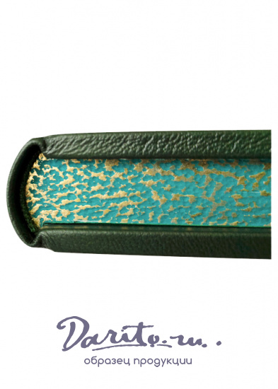 Пушкин А. С. , Книга в подарок «Сказки А.С. Пушкина»