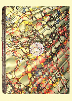 Сага о Греттире. Экземпляр № 10