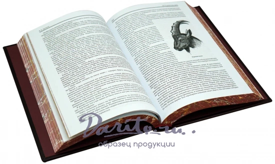 По Уссурийскому краю. Дерсу Узала