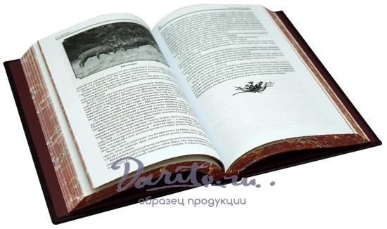 По Уссурийскому краю. Дерсу Узала