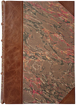 Авенариус В.П. Молодость славного русского хирурга и педагога Н.И. Пирогова (Антикварная книга 1909г.)