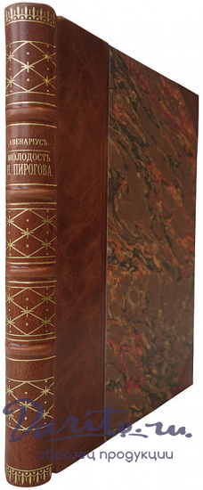 Авенариус В.П. Молодость славного русского хирурга и педагога Н.И. Пирогова (Антикварная книга 1909г.)