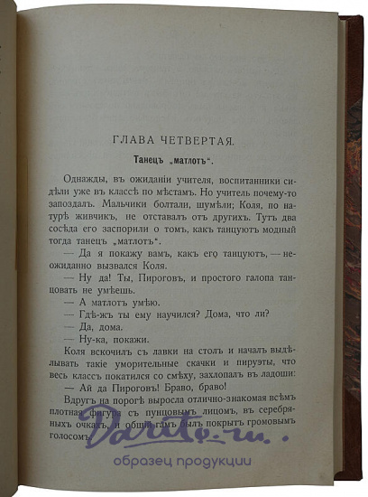 Авенариус В.П. Молодость славного русского хирурга и педагога Н.И. Пирогова (Антикварная книга 1909г.)