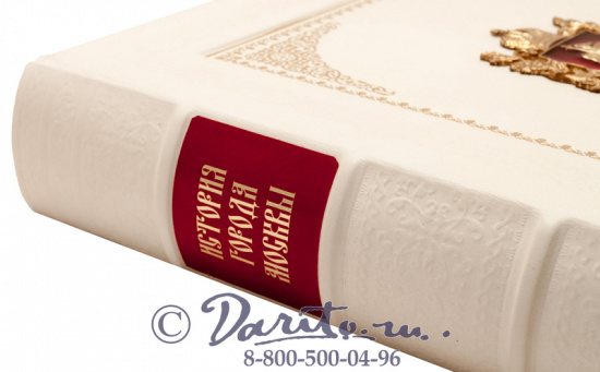 Забелин И. Е., Книга «История города Москвы»