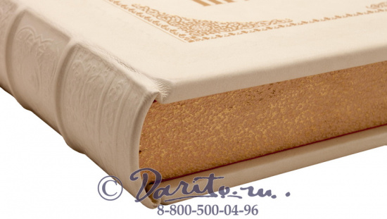 Забелин И. Е., Книга «История города Москвы»