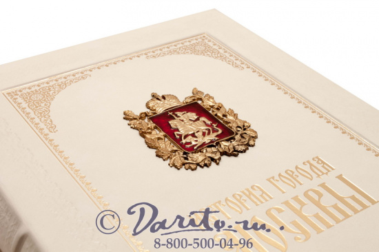 Забелин И. Е., Книга «История города Москвы»