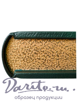 Евгений Онегин А.С.Пушкин подарочная книга.