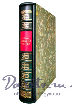 Евгений Онегин А.С.Пушкин подарочная книга.