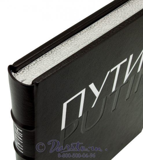 Книга «Путин»