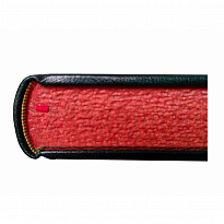 Книга «Конек-Горбунок»