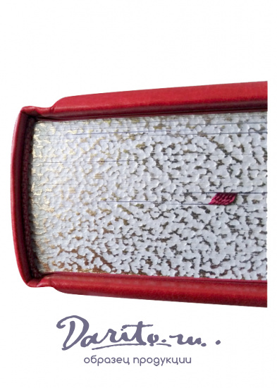 Шопенгауэр Артур , Книга в подарок «Афоризмы житейской мудрости»