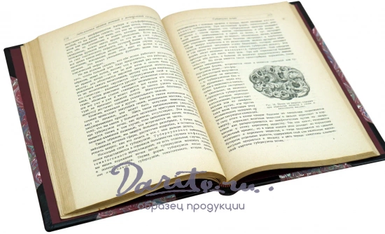 Федоров С.П. Клинические лекции по хирургии. Антикварная книга 1929 год.