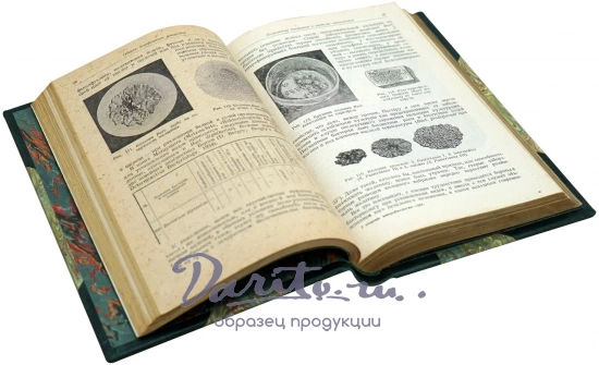 Основы микробиологии акад. В.Л. Омелянский. Антикварная книга 1936 год.