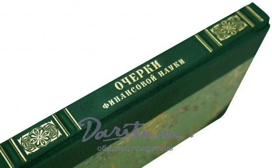 Очерки финансовой науки И.М.Кулишер.Антикварная книга 1919 г.