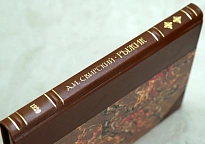 Рыжик:Приключения бродяги А.И.Свирский.Антикварная книга 1922 г.