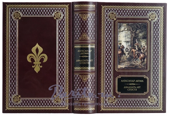 Дюма А., Книга «Двадцать лет спустя»