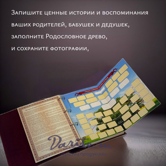 Родословная книга Гербовая натуральная кожа бордо