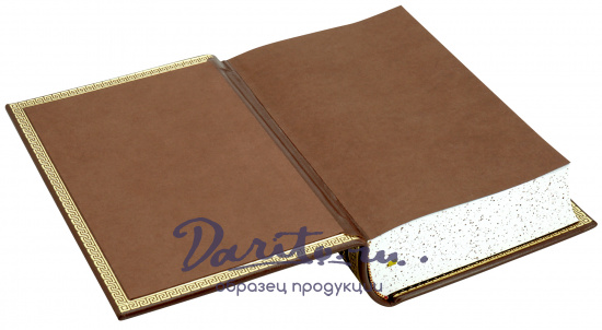Подарочная книга «Дочь Монтесумы»