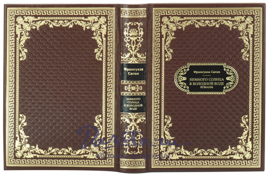 Франсуаза Саган, Подарочная книга «Немного солнца в холодной воде»