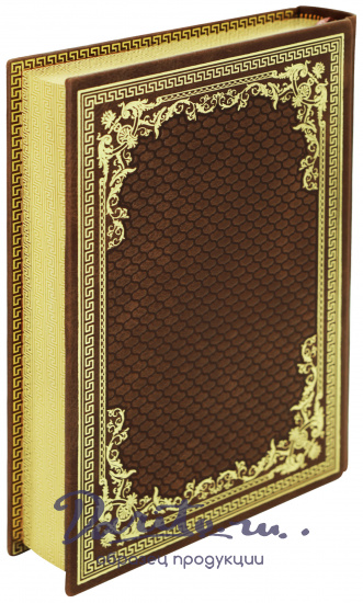 Книга в подарок «Поэзия. Петербург»