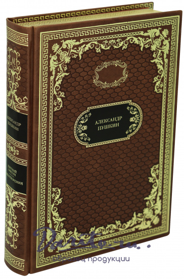 Подарочная книга «Евгений Онегин. Стихотворения»