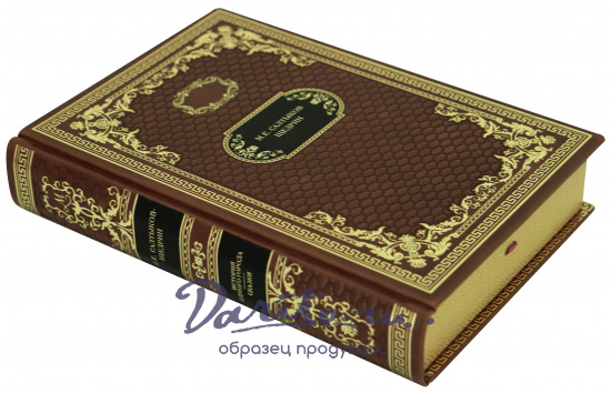 Подарочная книга «История одного города. Сказки»