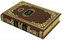 Подарочная книга «История одного города. Сказки»