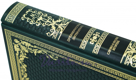 Подарочная книга «Древнерусская литература. Слово о полку Игореве»