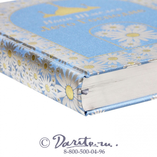 Книга «Лето Господне»